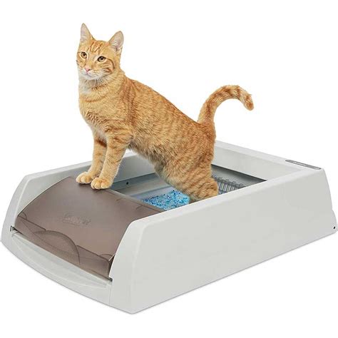 pet smart metal litter box|disposable litter box petsmart.